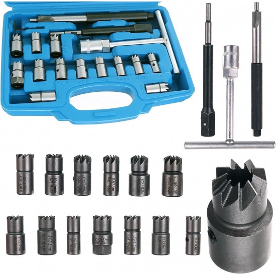 Σετ καθαρισμού έδρας μπεκ ψεκασμού diesel 17 τμχ