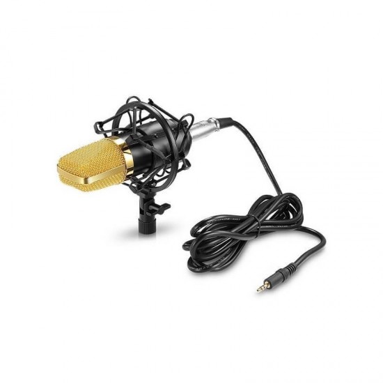 Andowl Q-MIC3 Μονοκατευθυντικό μικρόφωνο ηχογράφησης Andowl Q-MIC3 Μονοκατευθυντικό μικρόφωνο ηχογράφησης