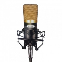Andowl Q-MIC3 Μονοκατευθυντικό μικρόφωνο ηχογράφησης Andowl Q-MIC3 Μονοκατευθυντικό μικρόφωνο ηχογράφησης