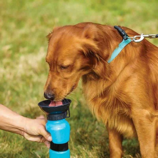 Aqua Dog Πλαστικό Μπουκάλι Νερού για Σκύλο σε Μπλε χρώμα 500ml Aqua Dog Πλαστικό Μπουκάλι Νερού για Σκύλο σε Μπλε χρώμα 500ml