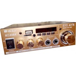 Ενισχυτής με λειτουργία Karaoke BT-658A σε Χρυσό Χρώμα Ενισχυτής με λειτουργία Karaoke BT-658A σε Χρυσό Χρώμα