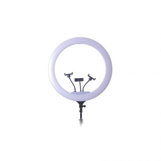 Led Ring light 58cm με τρίποδο δαπέδου και βάση για 3 κινητά YQ-580 Led Ring light 58cm με τρίποδο δαπέδου και βάση για 3 κινητά YQ-580