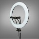 Led Ring light 58cm με τρίποδο δαπέδου και βάση για 3 κινητά YQ-580 Led Ring light 58cm με τρίποδο δαπέδου και βάση για 3 κινητά YQ-580