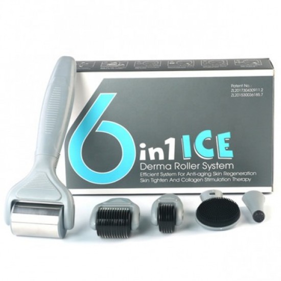Σετ 6 σε 1 ICE Derma Roller με βελόνες τιτανίου για αντιγήρανση
