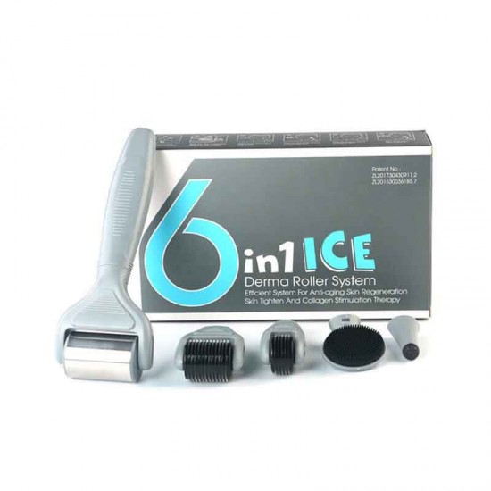 Σετ 6 σε 1 ICE Derma Roller με βελόνες τιτανίου για αντιγήρανση