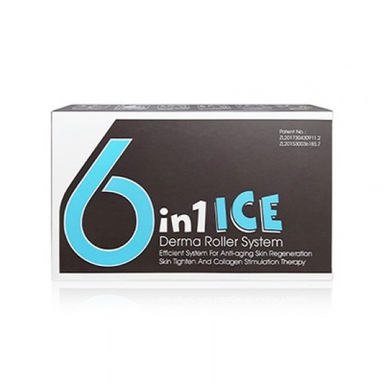 Σετ 6 σε 1 ICE Derma Roller με βελόνες τιτανίου για αντιγήρανση