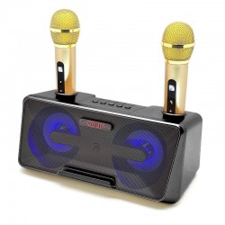 Σύστημα Karaoke με ασύρματα μικρόφωνα SDRD SD-301 Mαύρο Σύστημα Karaoke με ασύρματα μικρόφωνα SDRD SD-301 Mαύρο
