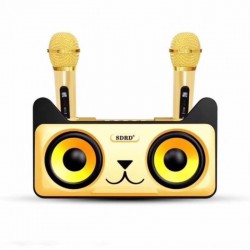 Σύστημα Karaoke με ασύρματα μικρόφωνα SDRD SD-305 Χρυσό Σύστημα Karaoke με ασύρματα μικρόφωνα SDRD SD-305 Χρυσό