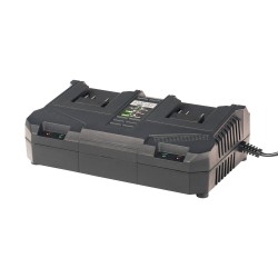 RAIDER R20 Φορτιστής διπλός 4A RDP-R20 039717
